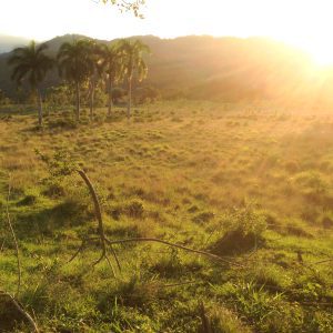 Гид в Доминикане: Харабакоа